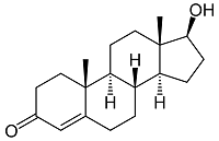 Testosterone