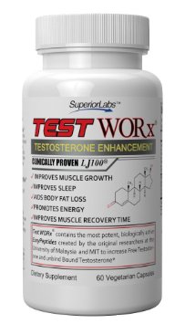 test-worx-review