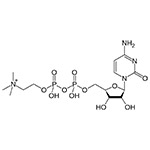 citicoline-noots