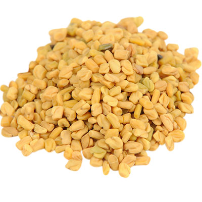 fenugreek_28573330_m