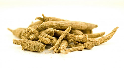 ginseng_root_800