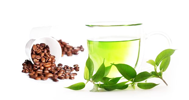 Caffeine and green tea combination has shown to improve fat loss even more than GTE would on its own.