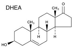 DHEA - testosterone booster ingredients to avoid 