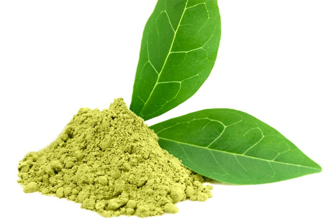 Picture of green tea extract in powder form with leaves showing how natural it is.