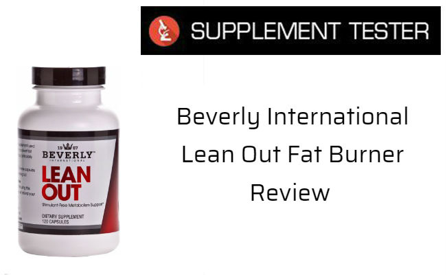 Lean Out review