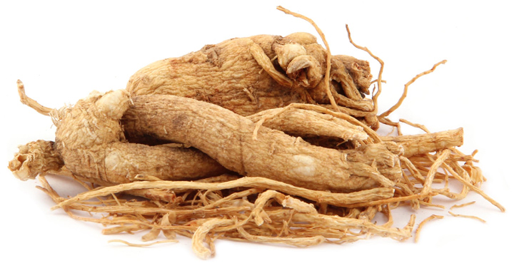 Panax Ginseng root